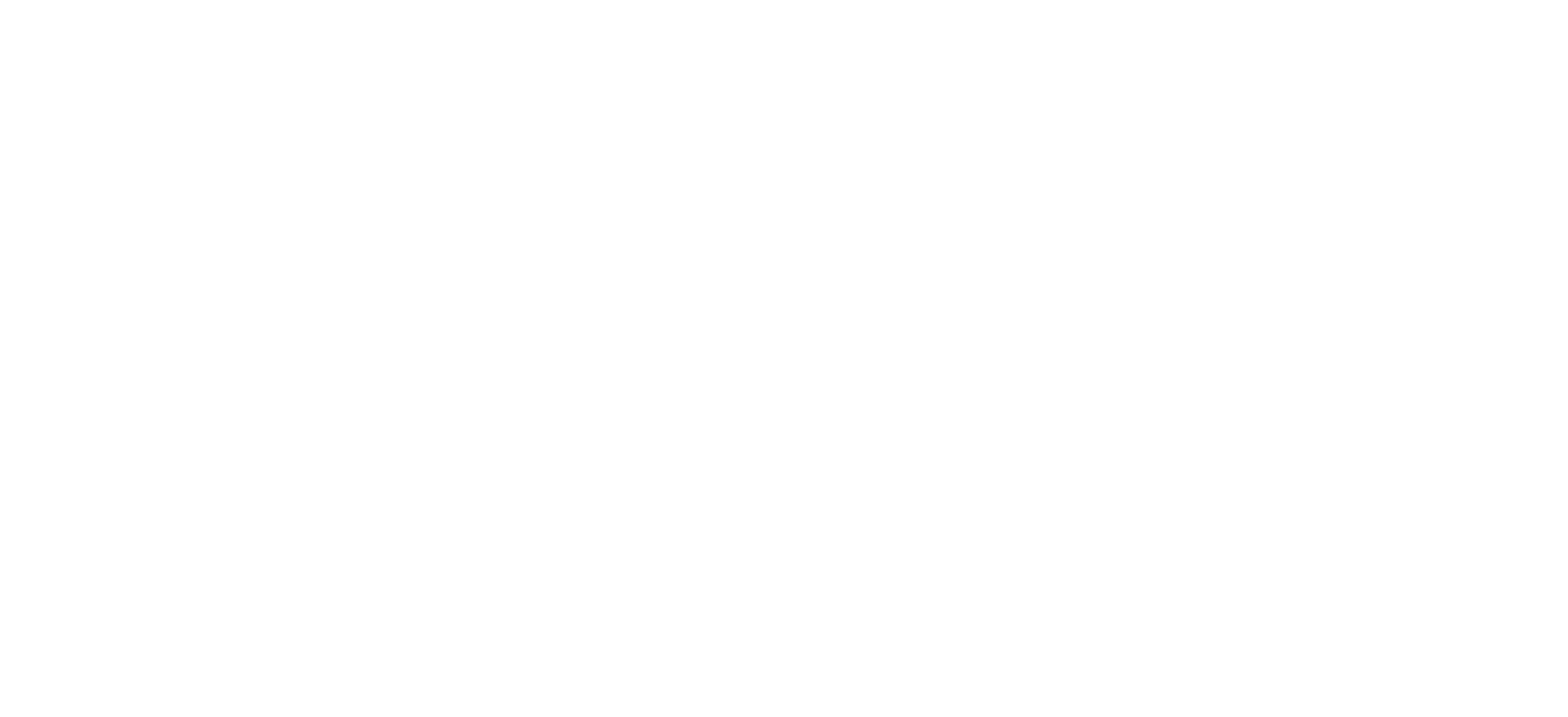Archer Capital Logo